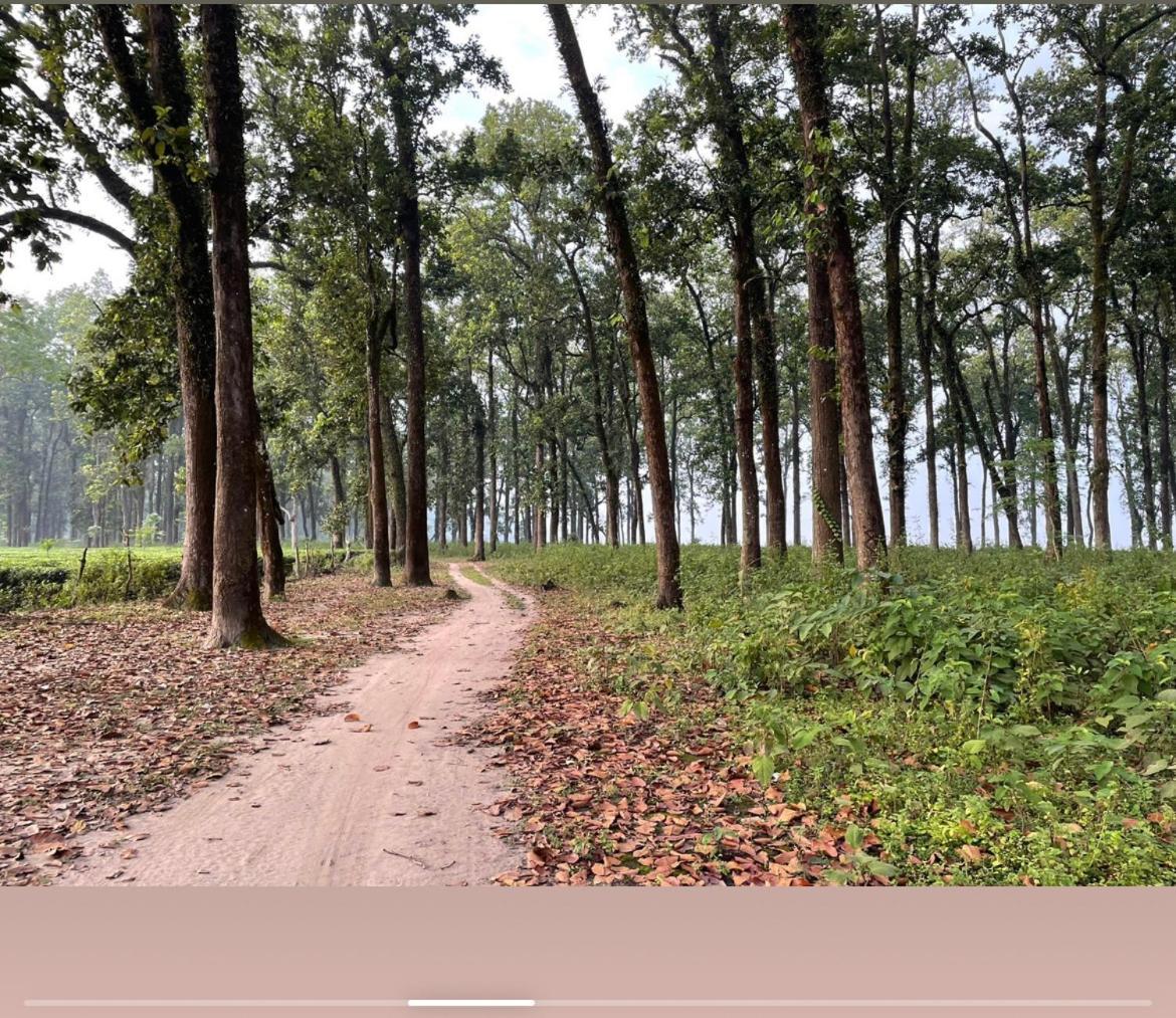 Tea Resort Saraswatipur Shaugaon Bagian luar foto